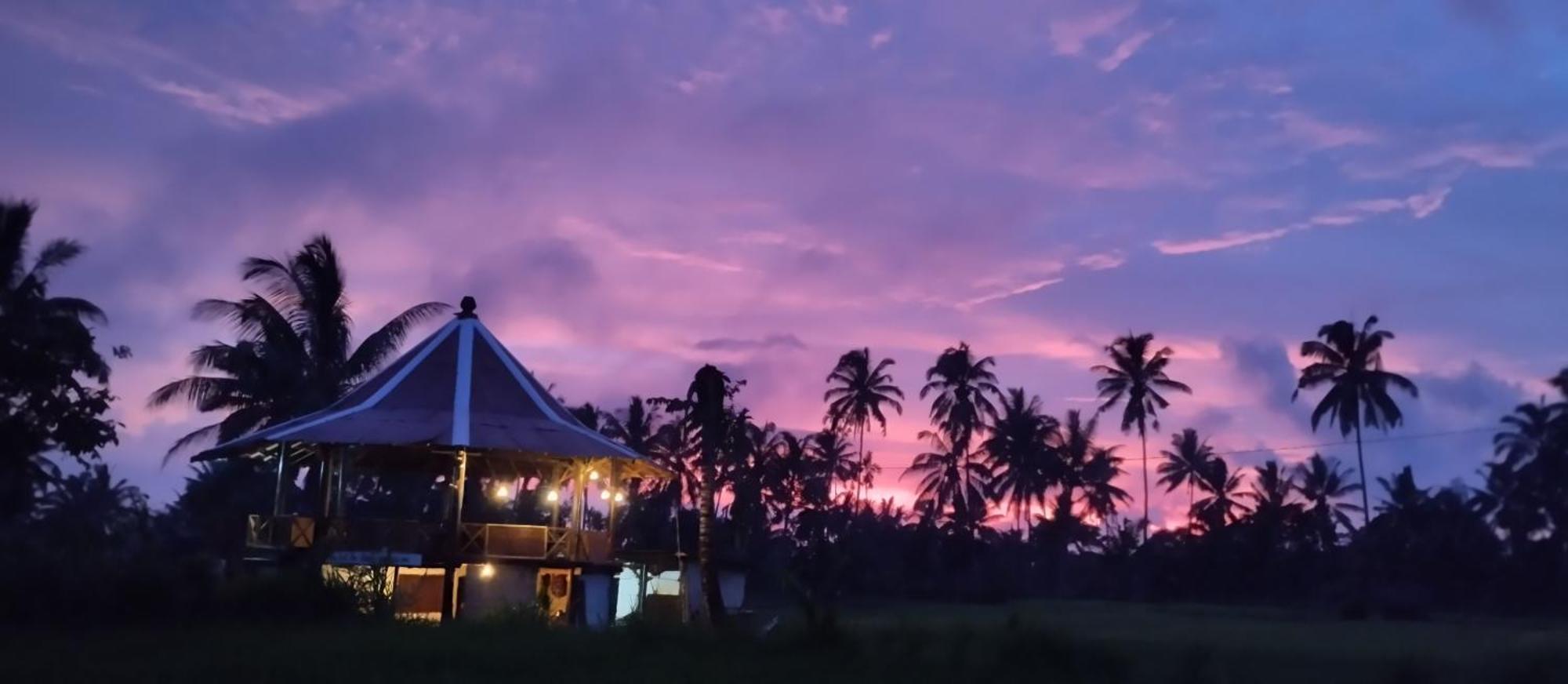 Rice Field Inn - Lombok Tetebatu Bagian luar foto