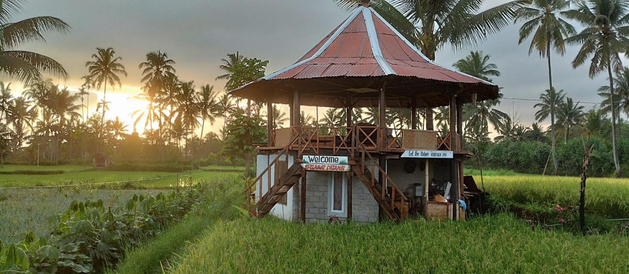 Rice Field Inn - Lombok Tetebatu Bagian luar foto