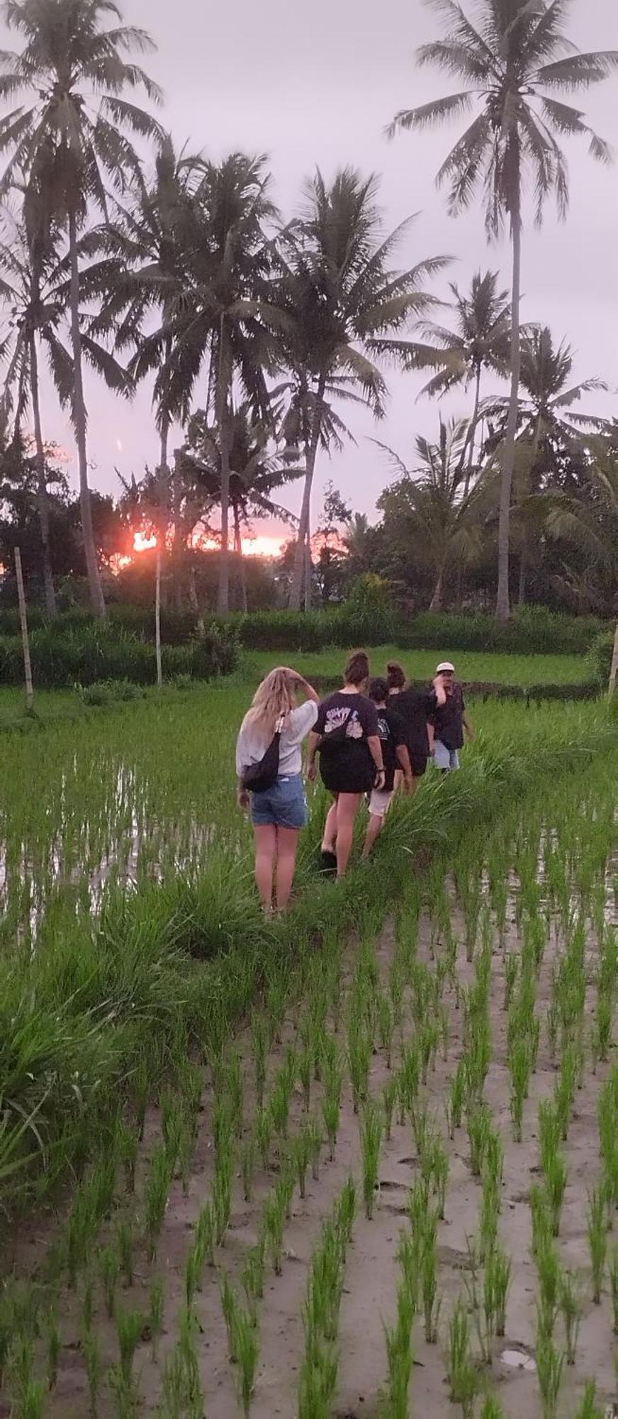 Rice Field Inn - Lombok Tetebatu Bagian luar foto