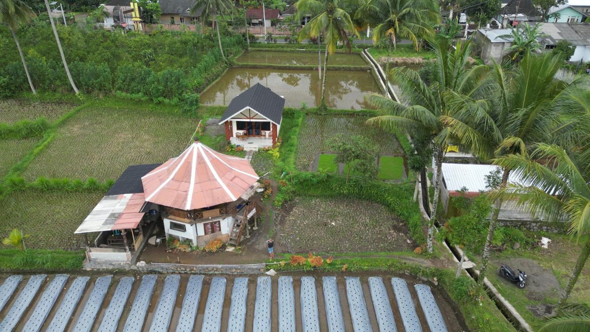 Rice Field Inn - Lombok Tetebatu Bagian luar foto
