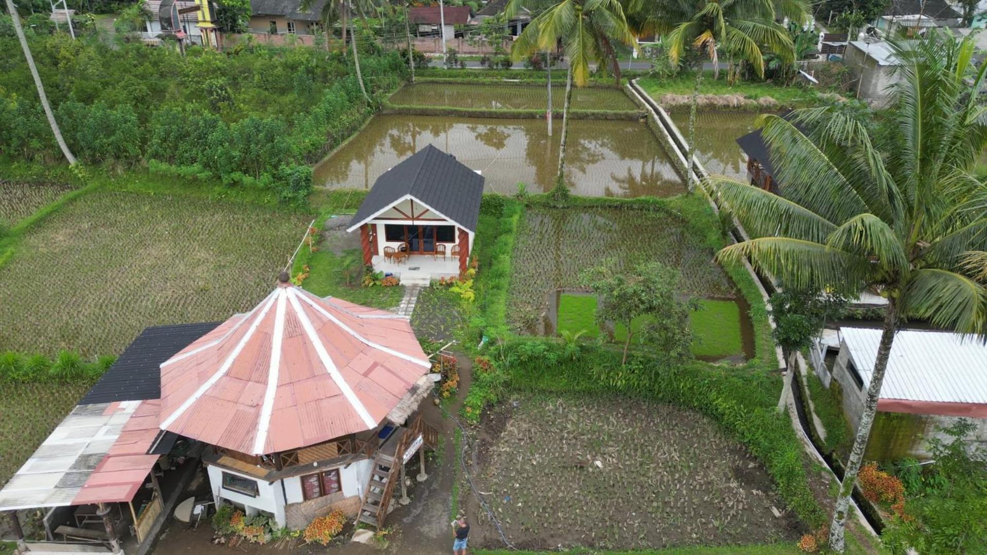 Rice Field Inn - Lombok Tetebatu Bagian luar foto
