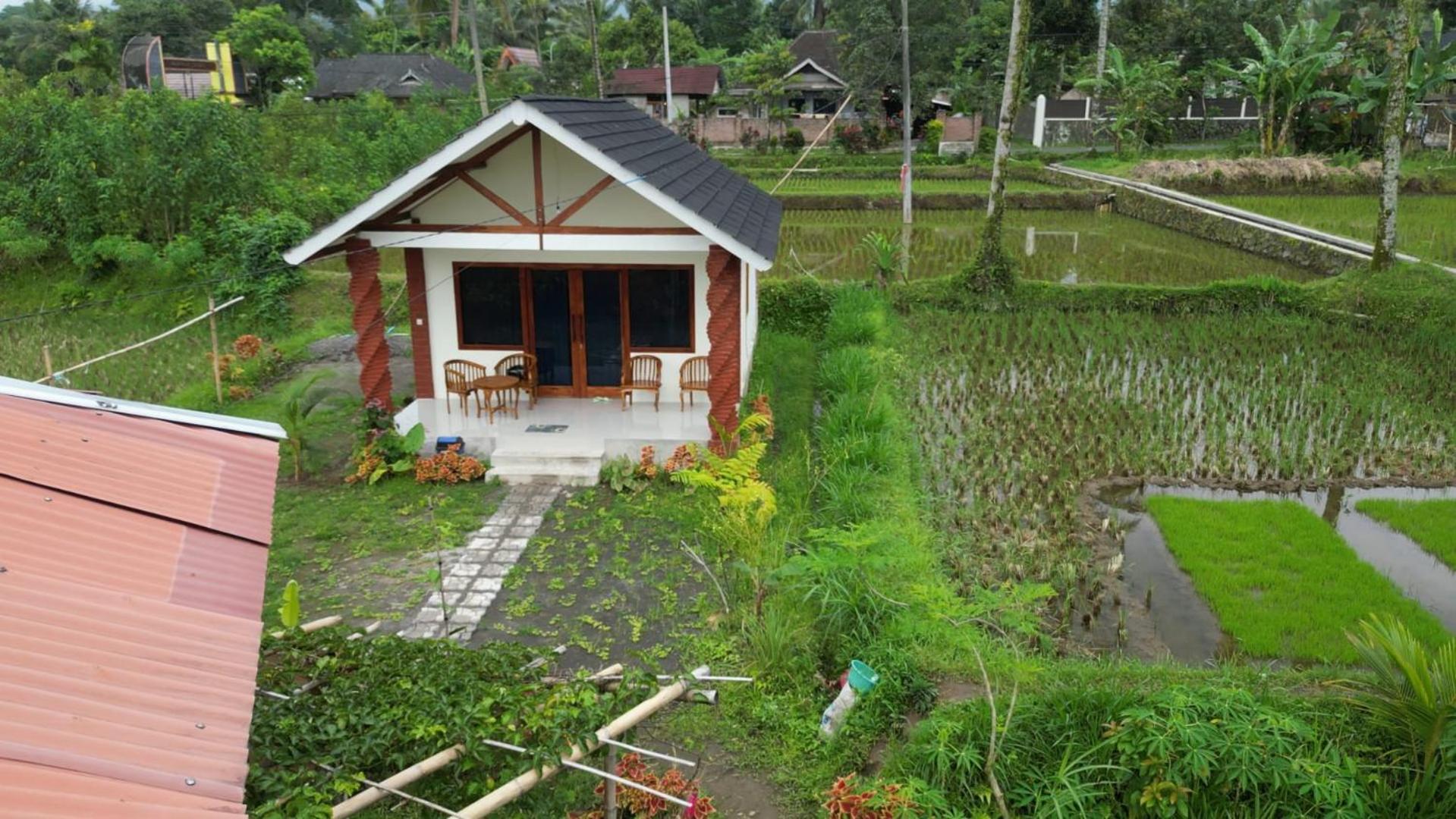Rice Field Inn - Lombok Tetebatu Bagian luar foto