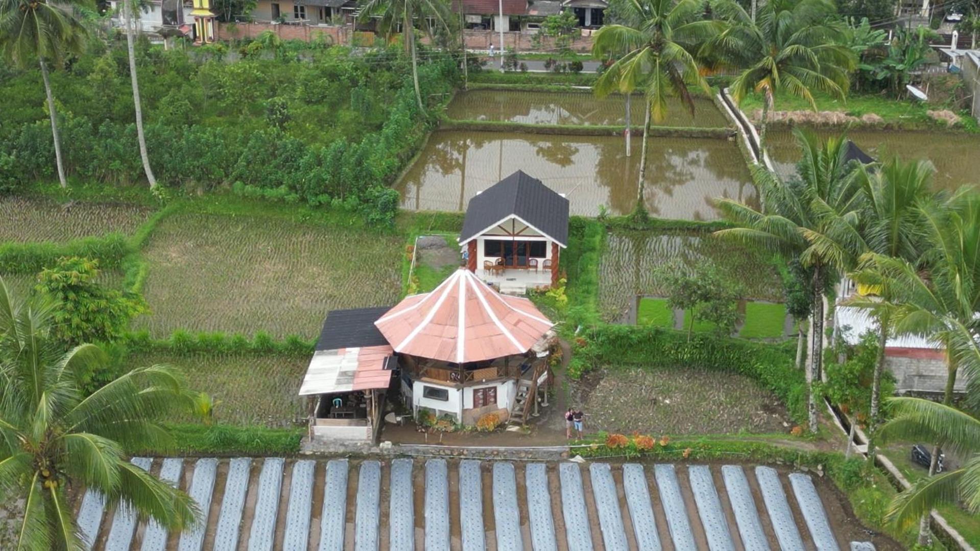 Rice Field Inn - Lombok Tetebatu Bagian luar foto