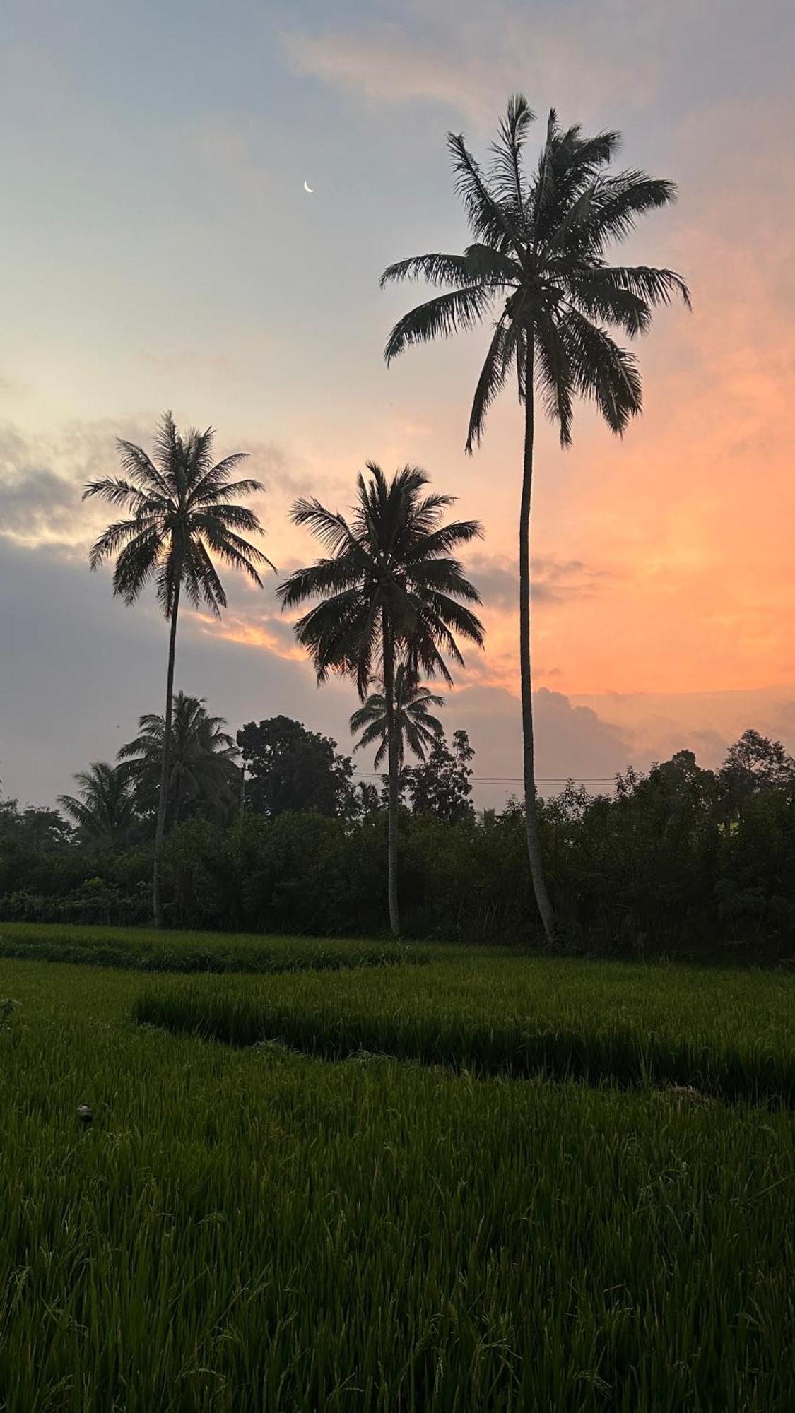 Rice Field Inn - Lombok Tetebatu Bagian luar foto