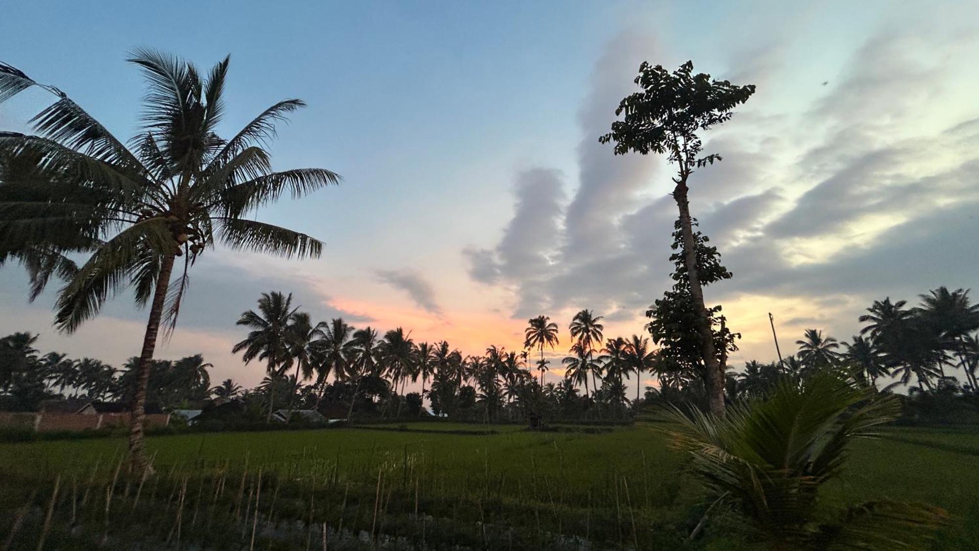 Rice Field Inn - Lombok Tetebatu Bagian luar foto